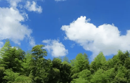 2022南方过完年还会冷多久?南方年后天气还会不会冷