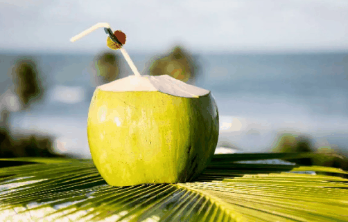 椰子用刀怎么切开?有开椰子壳不伤果肉的工具吗