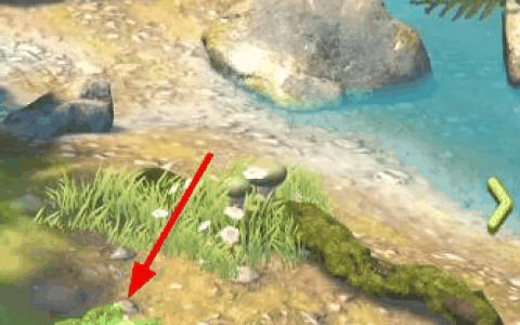 夺笋高手全地图隐藏彩蛋一览