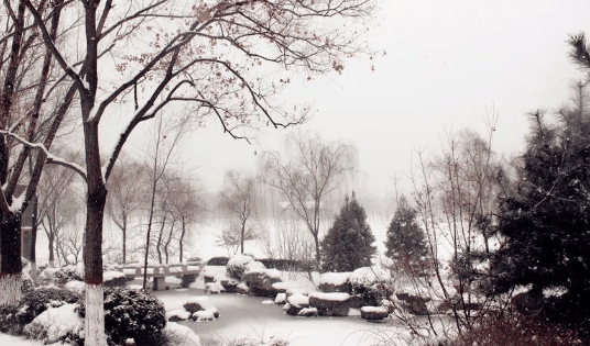 2024年西安3月份天气冷吗?西安3月份天气怎么样