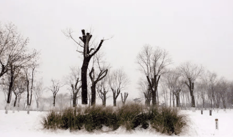 南京二三月份还会冷吗2024?南京什么时候就不冷了