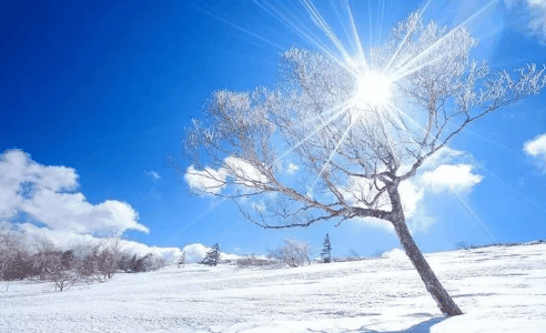 2024年南京三月份大概多少度?南京三月旅游穿什么衣服