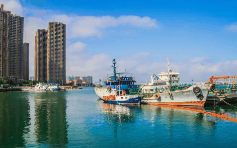 2024年青岛三月份能赶海吗?青岛几月份可以赶海插图1 2024年青岛三月份能赶海吗2