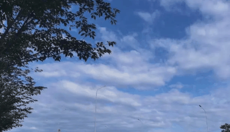 2024年清明过后还有倒春寒吗?清明过后气温什么时候回暖插图1 2024年清明过后还有倒春寒吗2