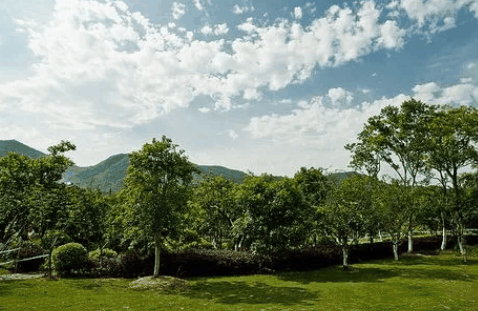 2024年清明过后还有倒春寒吗?清明过后气温什么时候回暖插图2 2024年清明过后还有倒春寒吗3