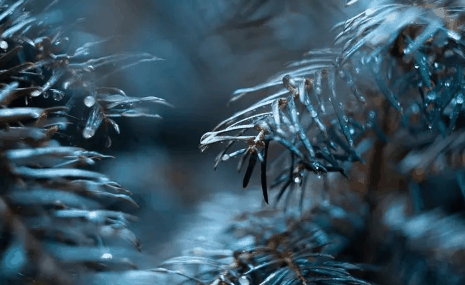 2024年武汉三月份是雨季吗?武汉三月份下雨多吗