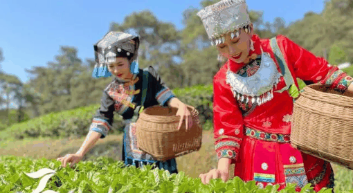 2024年广西三月三法定假日几天?三月三放假有哪些地方插图 2024年广西三月三法定假日几天1