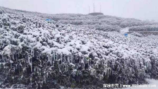 中央气象台再次6预警连发 暴雪冻雨有何注意事项插图2