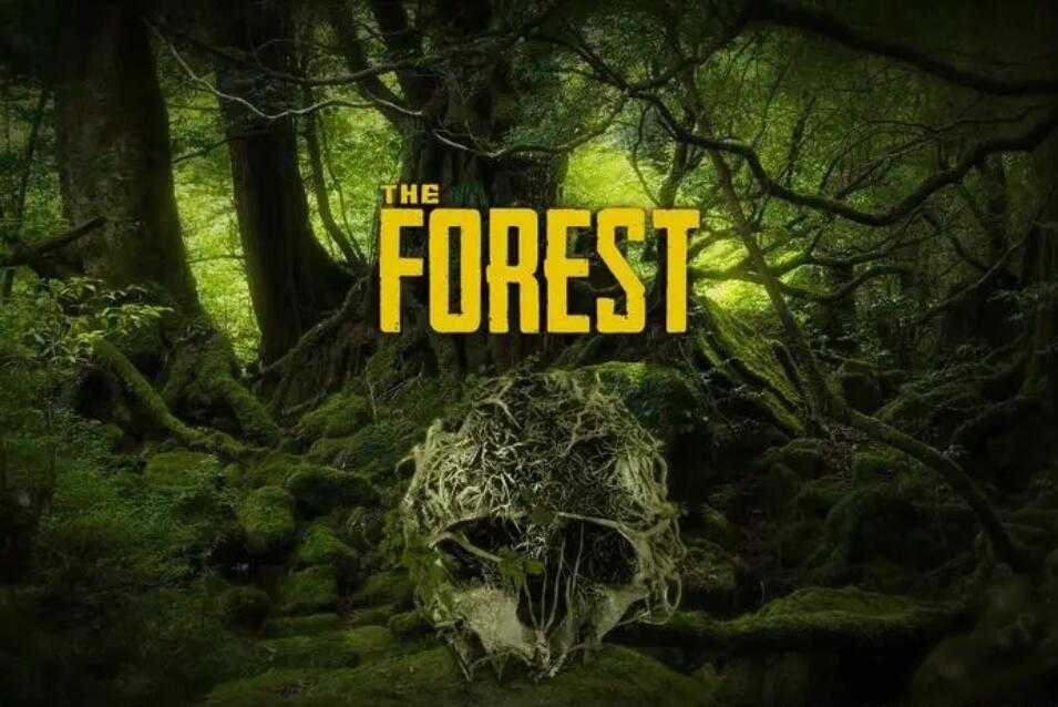 森林之子多少钱-游戏售价价格介绍一览