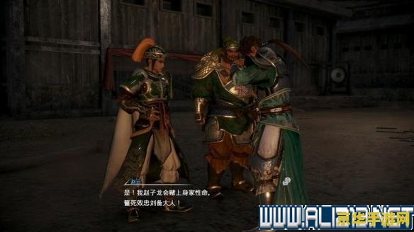 无双大蛇马术 《无双大蛇》马术系统深度解析