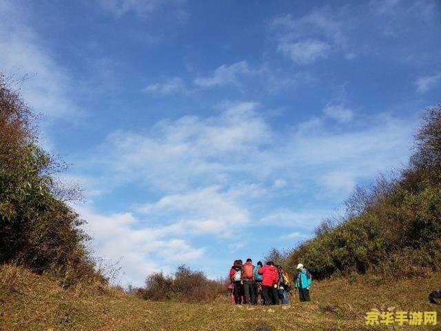 冒险岛苏阿尔的拜托 苏阿尔的拜托：一段神秘的冒险之旅