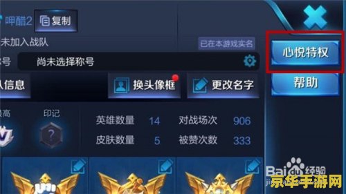 王者荣耀方便面有什么区别 王者荣耀方便面：口味、包装与文化象征**