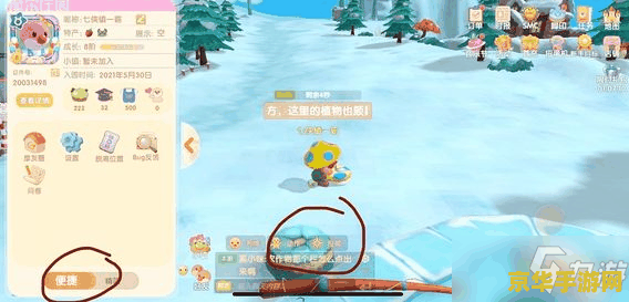 王者荣耀有什么级别 王者荣耀的级别系统**