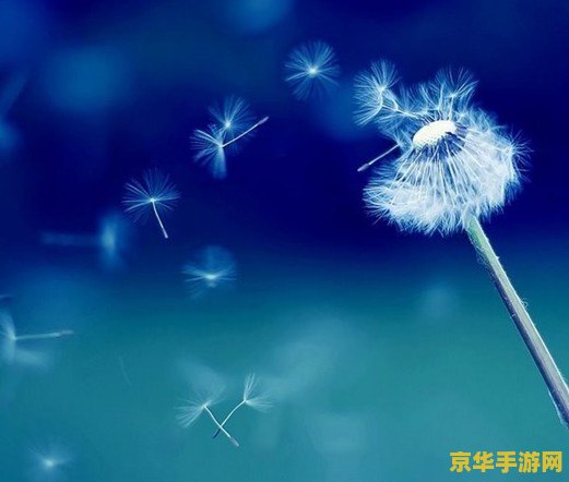 王者荣耀精简版为什么玩不了 王者荣耀精简版：无法启动的困惑与解决之道