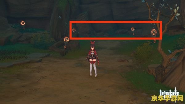 王者荣耀抓单什么意思 王者荣耀抓单解析**