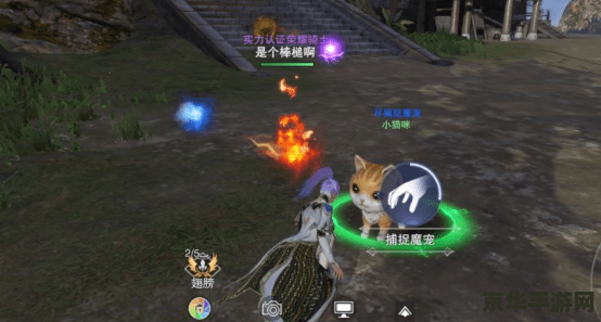 王者荣耀抢蓝有什么用 王者荣耀抢蓝的策略意义**