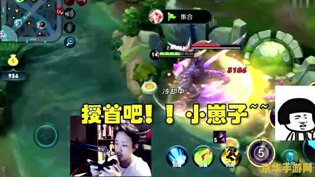 三国志双人版 三国志双人版- 共谋天下，双人共战