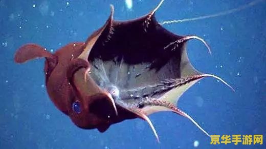 英雄联盟可以改名字吗 英雄联盟可以改名字吗