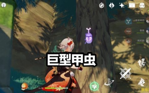 英雄联盟仙灵女巫肉装 英雄联盟仙灵女巫肉装攻略：防御至上，屹立不倒的战斗风格