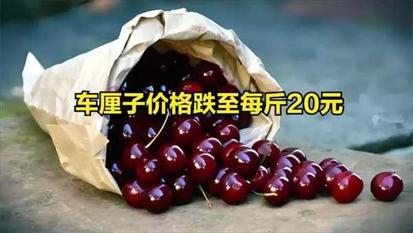 车厘子价格跌至每斤20元 车厘子价格下跌背后的原因插图 车厘子价格跌至每斤20元