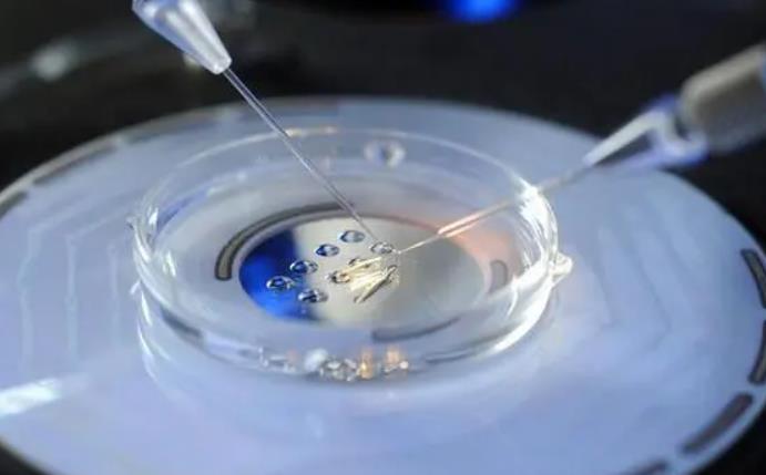 35岁宝妈花20万6年生3个试管婴儿 母爱太伟大了