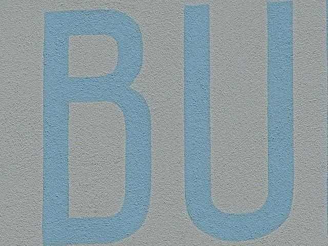 降级实锤? 三星S24Ultra和三星 S23Ultra长焦对比测评插图10