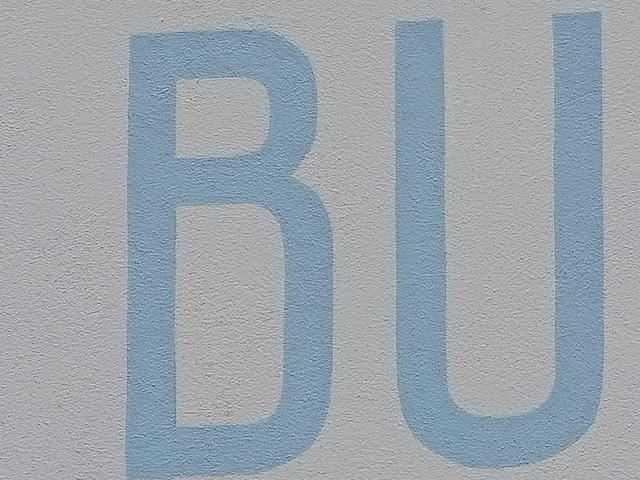 降级实锤? 三星S24Ultra和三星 S23Ultra长焦对比测评插图11