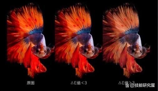 电脑显示器参数主要看什么 电脑显示器选购攻略大全插图8