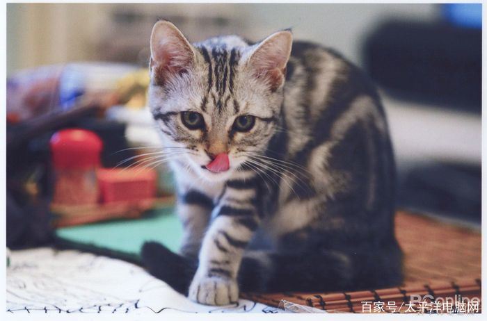 爱普生L4266打印机怎么样? 爱普生墨仓式打印机L4266测评插图18