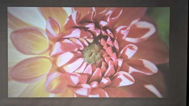 性价比拉满的千元卧室投影 哈趣K2投影仪详细评测插图15