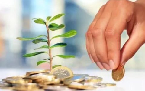 明星应该怎么做投资 明星常用的理财方法如下