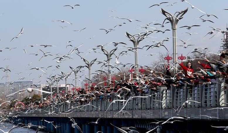游客称在昆明海埂大坝拍照被宰 花费了五百多块钱