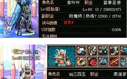 dnf弹药是魔攻还是物攻 深入解析DNF中弹药专家是选择魔攻还是物攻？