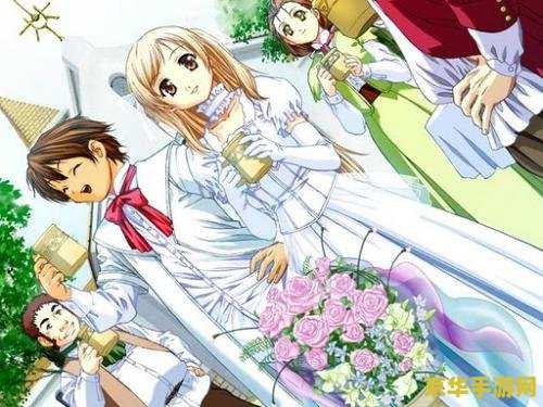 美少女梦工厂4魔嫁攻略 美少女梦工厂4魔嫁攻略:成就魔族王子的新娘 美少女梦工厂4魔嫁攻略 美少女梦工厂4魔嫁攻略:成就魔族王子的新娘