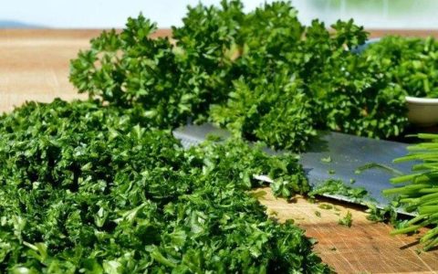 世界讨厌香菜日到了 香菜到底值不值得吃？