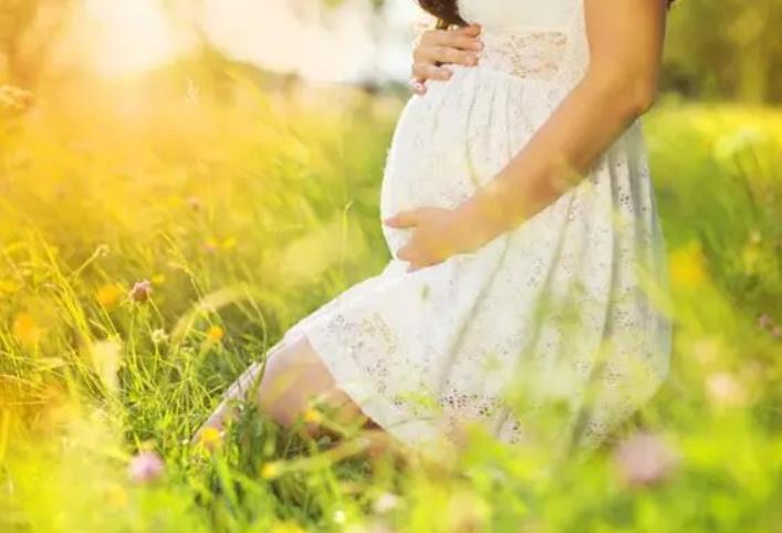 浙江桐乡3孩生育率连续2年不到3% 看最新数据!插图 三孩生育