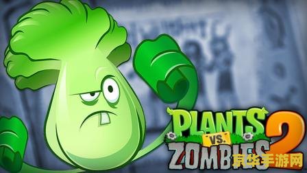 植物大战僵尸2失落之城 植物大战僵尸2：失落之城