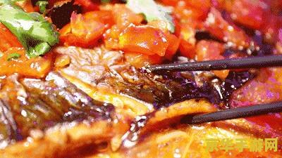 原神烤鱼活动攻略b站 原神烤鱼活动攻略:从入门到精通 原神烤鱼活动攻略b站 原神烤鱼活动攻略:从入门到精通