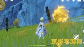 原神藏金之花和启示之花在哪里 原神藏金之花和启示之花位置解析