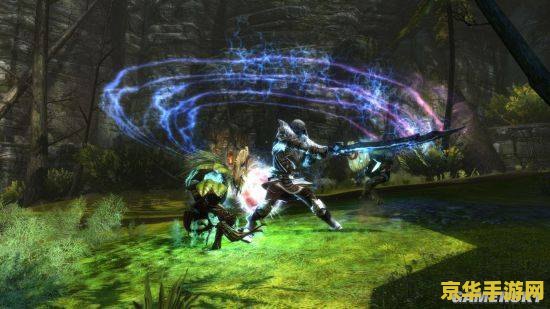 阿玛拉王国 惩罚 阿玛拉王国:制裁之剑 阿玛拉王国 惩罚 阿玛拉王国:制裁之剑