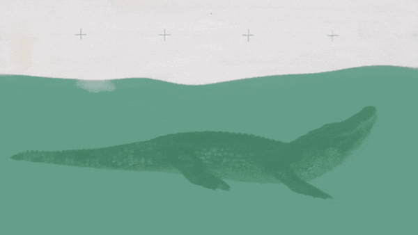 鳄鱼冬眠罕见画面曝光!冻在水里、只有鼻子露出冰面插图10 鳄鱼冬眠罕见画面曝光!冻在水里、只有鼻子露出冰面