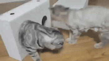 最抽象的越狱！巴西一小哥钻洞逃跑被卡住：狱警救了三小时