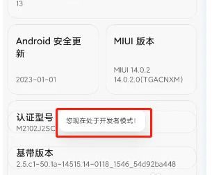 小米14Ultra怎么打开开发者模式?小米14Ultra怎么打开开发者模式插图4 小米14Ultra怎么打开开发者模式?