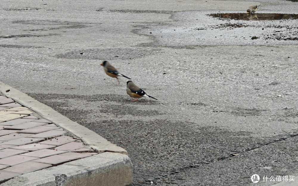 ColorOS14最新版体验，405升级很抢眼，这几个新功能值得体验