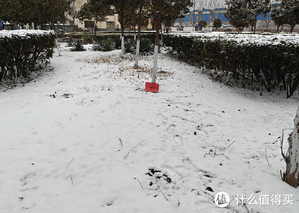 ColorOS14最新版体验，405升级很抢眼，这几个新功能值得体验