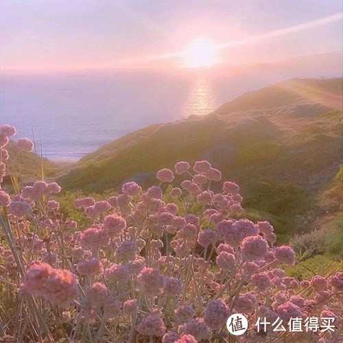 烟火之下，iPhone镜头里的绚烂世界