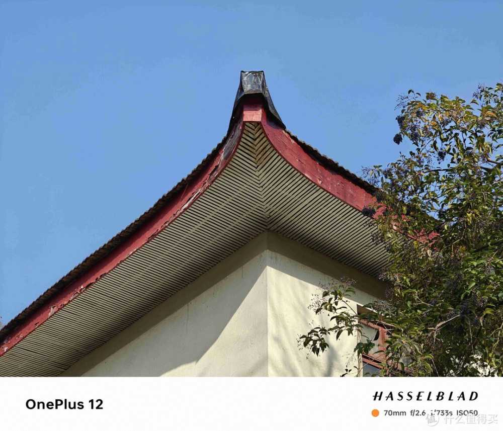 武汉City walk，一加12全纪录