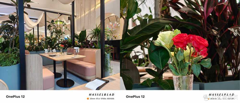 武汉City walk，一加12全纪录