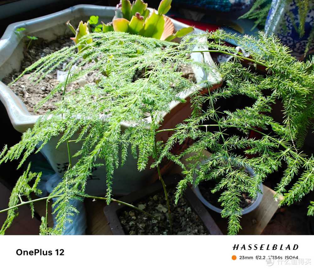 数码原动力 篇一百九十:一加12与小米14:旗舰对决,谁更值得入手?插图8 一加12与小米14:旗舰对决,谁更值得入手?