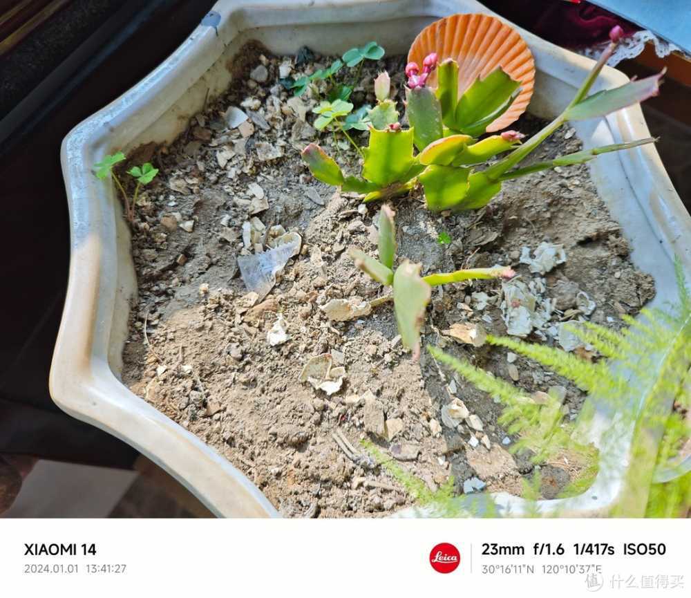 数码原动力 篇一百九十:一加12与小米14:旗舰对决,谁更值得入手?插图11 一加12与小米14:旗舰对决,谁更值得入手?